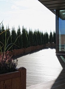 taras-drewniany-kopp