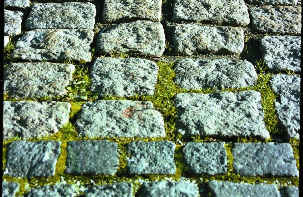 na_powierzchni_wyrastaja_nieestetyczne_mchy_i_trawy