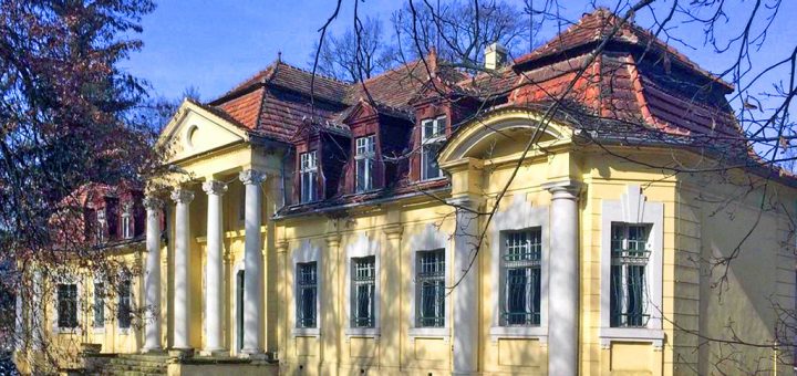 widok z przodu na nieruchomość inwestycyjną do sprzedaży Leszno (okolice)