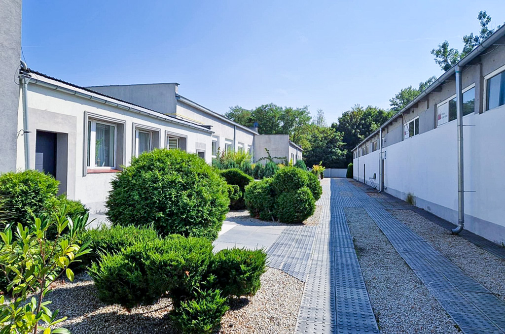 zadbana działka wokół nieruchomości inwestycyjnej na sprzedaż Zielona Góra okolice