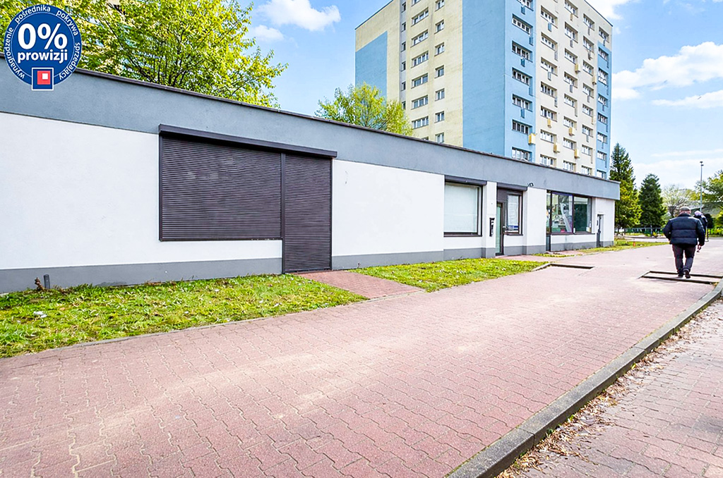 frontowa elewacja nieruchomości inwestycyjnej do wynajęcia Katowice (okolice)
